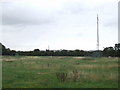 Field and phone mast near Romford