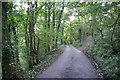 Lane down to Primrose Mill