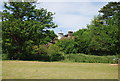 Clock in the trees,  How Green