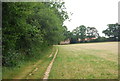 Footpath south to Cranleigh