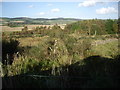 Rough ground with scrub and trees by Hirnley