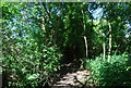 Footpath towards Newington Church