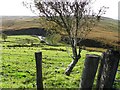 Liggins Townland