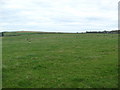 Farmland near Lochagan