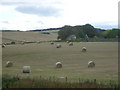 Farmland near Bruntbrae