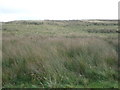 Farmland near Mossbank