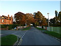 An autumnal scene at the junction of Western Road and  The Avenue