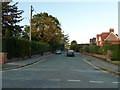 Looking from The Avenue into an autumnal Western Road