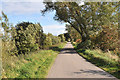 Minor road near Waterton