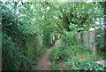 Footpath by St Nicholas Primary School