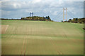 Field of Winter Wheat