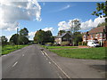 Houses on Ray Lane