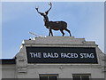 Stag statue atop The Bald Faced Stag, High Road N2