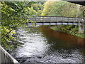 Footbridge over the River Braan