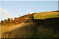 Path climbing out of Butts Clough