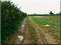 ST9193 : A view west along The Monarch's Way, Long Newnton by Brian Robert Marshall