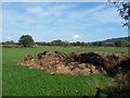 Muck heap on the edge of a field