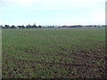 Farmland near Upper Mains of Asleid