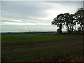 Farmland, Monkshill