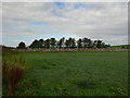 Cemetery at Stoneykirk