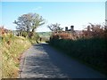 Country road near Ffridd Farm