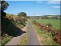 Lane north of Trefaes Fawr farm