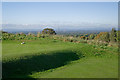 Tee 17, Shrigley Hall Golf Course