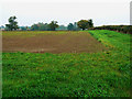 Field north of Somerford Keynes