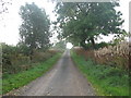 Ubley Drove looking uphill towards  Ubley Drove Farm