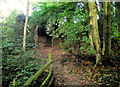 Steps to Hurst Road