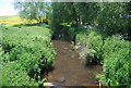 Stream. Lower Halstow