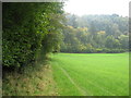 Field edge boundary at Blagdon Coombe