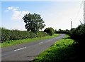 Cotes Road towards Barrow