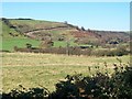 Bulldozed farm track on the slopes of the Llaniestyn gorge