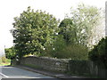 Bridge over the (former) Hexham to Allendale railway near Westwood