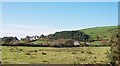 Tyddyn-tor, Llain and Rhos-goch farm from near Capel Rehoborth