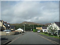 Y Fridd looking towards main road