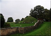 NS7353 : Viewing Mound at Chatelherault by Robert Murray