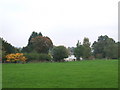 Autumn colour near Hartfield