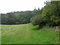 Field and woods below Elrington