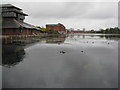 Atlantic Wharf and Bute East Dock