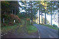 Track leaving road at sharp bend