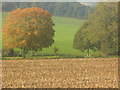 Autumn in the South Downs, Halnaker