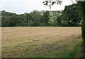 Hay field by Bickham Bridge