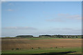 North Rauceby farmland