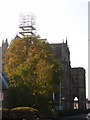 Arundel: a London Road tree and cathedral scaffolding