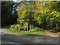 Two roads in the Clocaenog Forest