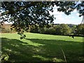 Field above Culm Davy