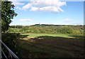 Field near Whitemoor Farm