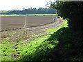 Track and footpath towards Elham